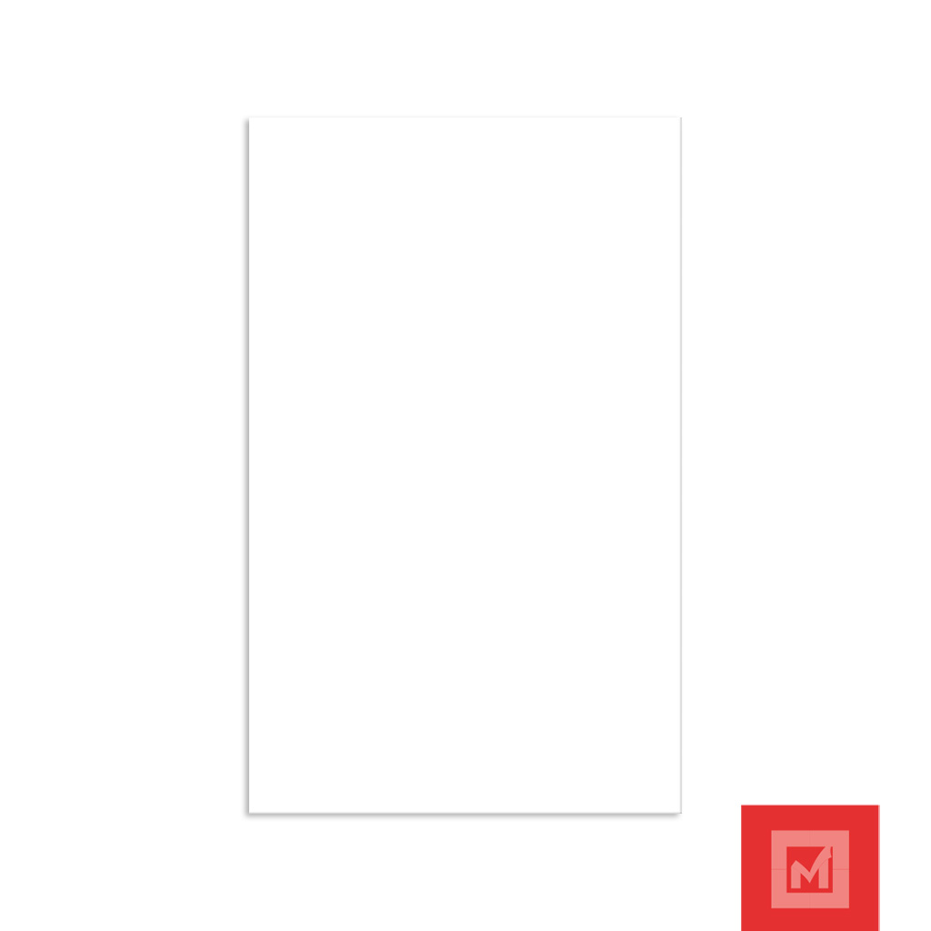Imagen de AZULEJO MS LUXT FD BLANCO 25X40 GA 2